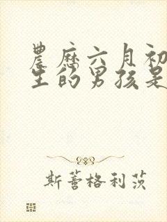 农历六月初二出生的男孩是什么命