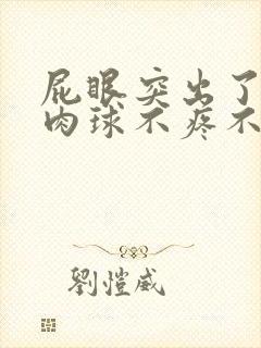 屁眼突出了一个肉球不疼不痒封面