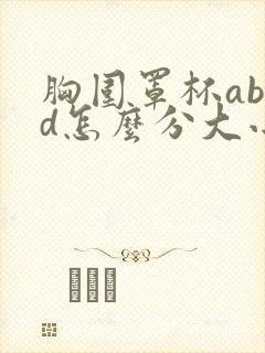 胸围罩杯abcd怎么分大小