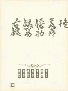 右腿膝盖后面的腿窝筋疼