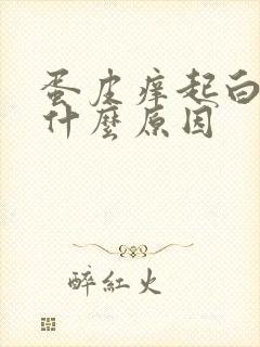 蛋皮痒起白皮是什么原因封面