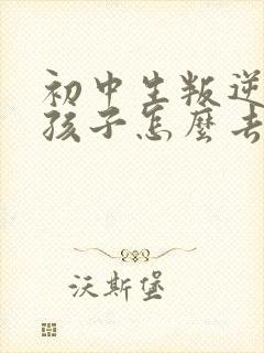 初中生叛逆期的孩子怎么去引导