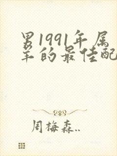 男1991年属羊的最佳配偶