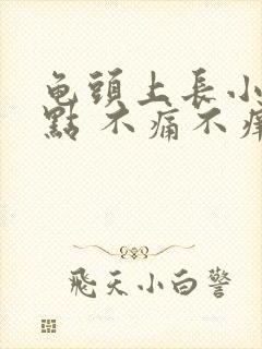 龟头上长小红点点 不痛不痒