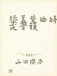 膝盖弯曲时凸起尖骨头