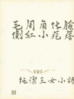 毛周角化脸颊两侧红小疙瘩封面