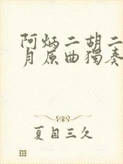 阿炳二胡二泉映月原曲独奏