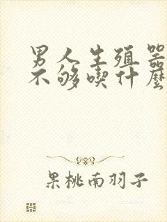 男人生殖器硬度不够吃什么