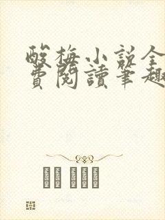 酸梅小说全文免费阅读笔趣阁封面