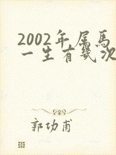 2002年属马一生有几次婚姻