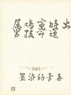 属鸡寅时出生的男孩命运