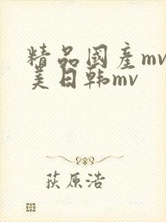 精品国产mv欧美日韩mv