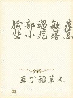 脸部过敏痒起一些小疙瘩怎么办