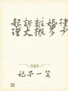 起诉离婚律师代理大概多少钱封面