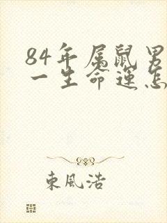 84年属鼠男人一生命运怎么样封面