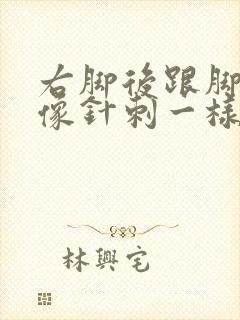 右脚后跟脚伸直像针刺一样疼