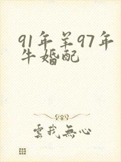 91年羊97年牛婚配