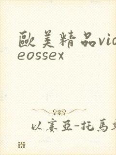 欧美精品videossex