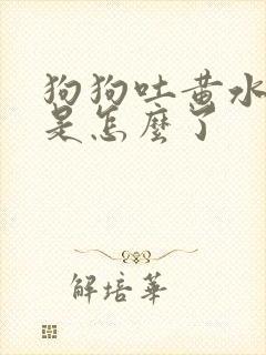 狗狗吐黄水带沫是怎么了封面