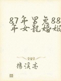 87年男兔88年女龙婚姻状况
