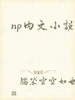 np肉文小说
