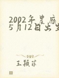 2002年农历5月12日出生人的命运