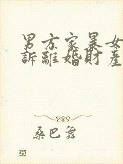 男方家暴女方起诉离婚财产分割封面