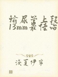 输尿管上段结石13mm最佳治疗方案封面