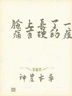 脸上长了一颗又痛有硬的痘