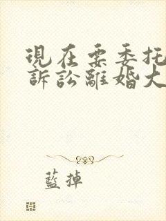 现在要委托律师诉讼离婚大概需要多少钱