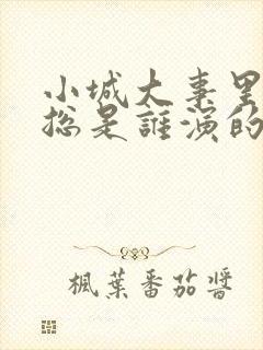 小城大事里的常总是谁演的