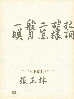 一般二胡拉二泉映月怎样调音封面