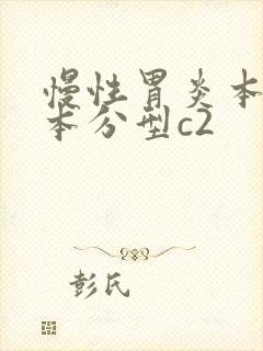 慢性胃炎本村竹本分型c2