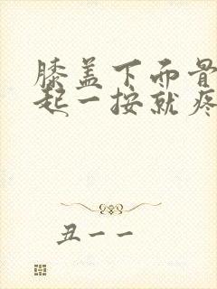 膝盖下面骨头凸起一按就疼