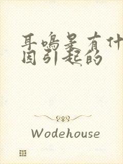 耳鸣是有什么原因引起的