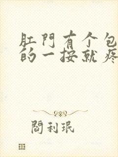 肛门有个包硬硬的一按就疼封面