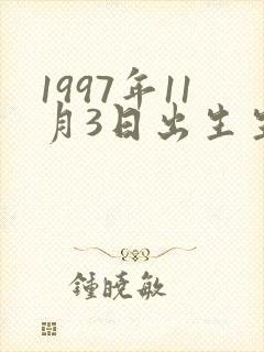1997年11月3日出生生辰八字