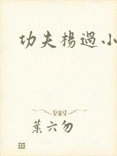 功夫杨过小龙女