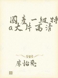 国产一级特黄aa大片高清