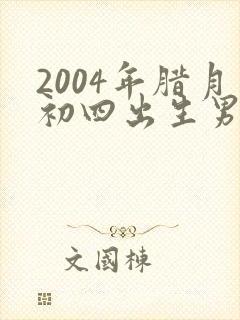 2004年腊月初四出生男孩命运