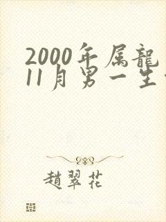 2000年属龙11月男一生命运