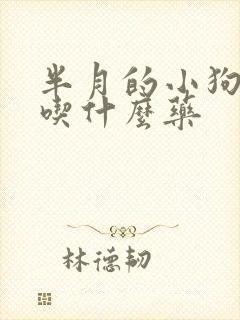 半月的小狗拉稀吃什么药封面