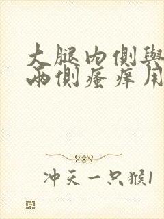 大腿内侧与阴囊两侧瘙痒用什么药膏