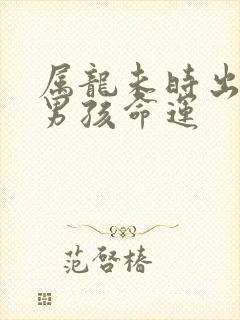 属龙未时出生的男孩命运