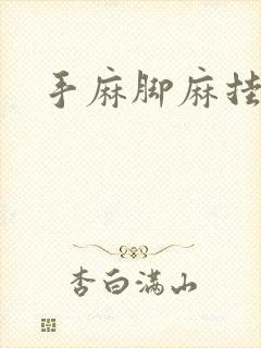 手麻脚麻挂啥科封面