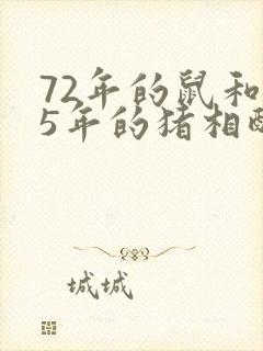 72年的鼠和95年的猪相配吗