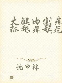 大腿内侧痒痒越抓越痒起疙瘩的怎么回事