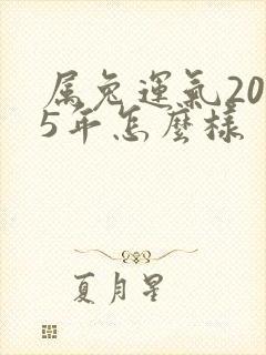 属兔运气2025年怎么样