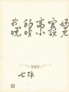 我的高官妈妈苏晚晴小说免费阅读