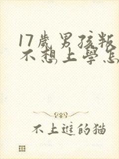 17岁男孩叛逆不想上学怎么办